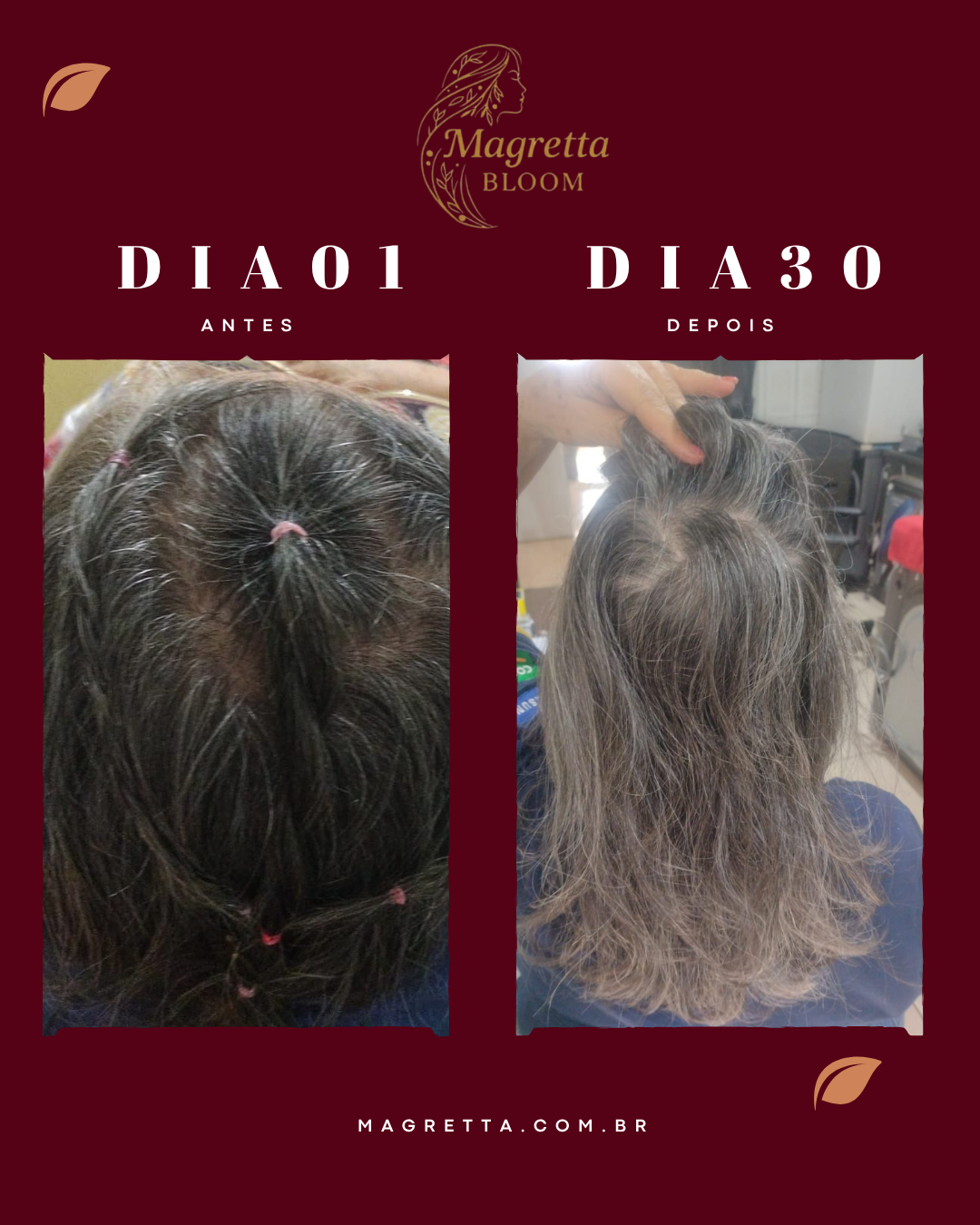 Registro de cliente: dia 01 e dia 30